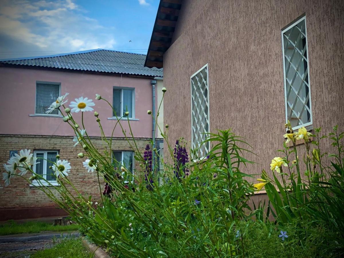 Guest House Oleksandriia Bagian luar foto